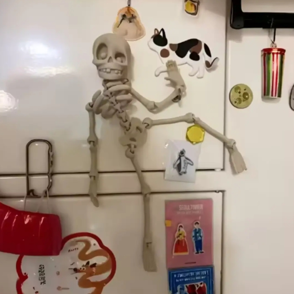 NWT Magnetic Skeleton